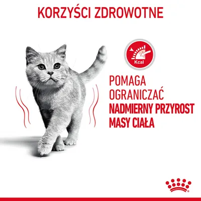 Korzyści zdrowotne. Pomaga ograniczać nadmierny przyrost masy ciała. Ikona licznika kalorii z napisem Kcal. Obraz kota. Tekst i grafika w języku polskim.