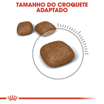 Três croquetes de ração com destaque para o tamanho, acompanhados do texto visível: 'TAMANHO DO CROQUETE ADAPTADO'.