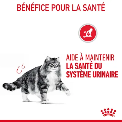 BÉNÉFICE POUR LA SANTÉ. AIDE À MAINTENIR LA SANTÉ DU SYSTÈME URINAIRE. Image d’un chat et icône rouge avec silhouette de chat.