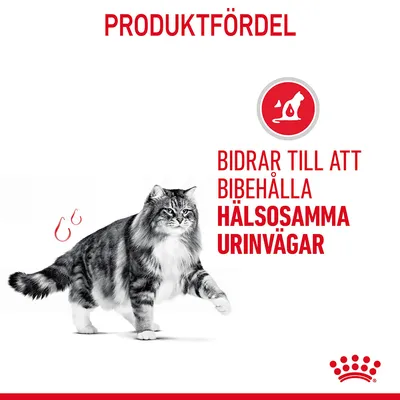 Bidrar till att bibehålla hälsosamma urinvägar. Produktfördel för katt, text och ikon med katt samt Royal Canin-symbol längst ner.