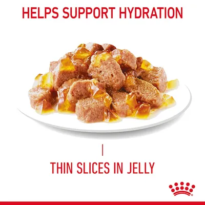 Thin slices in jelly shown on a plate with text stating helps support hydration.