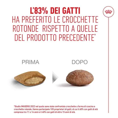 Royal Canin Ageing 11+