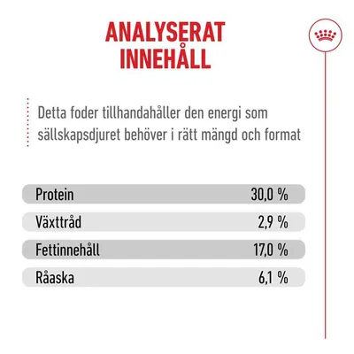 Royal Canin Ageing 11+