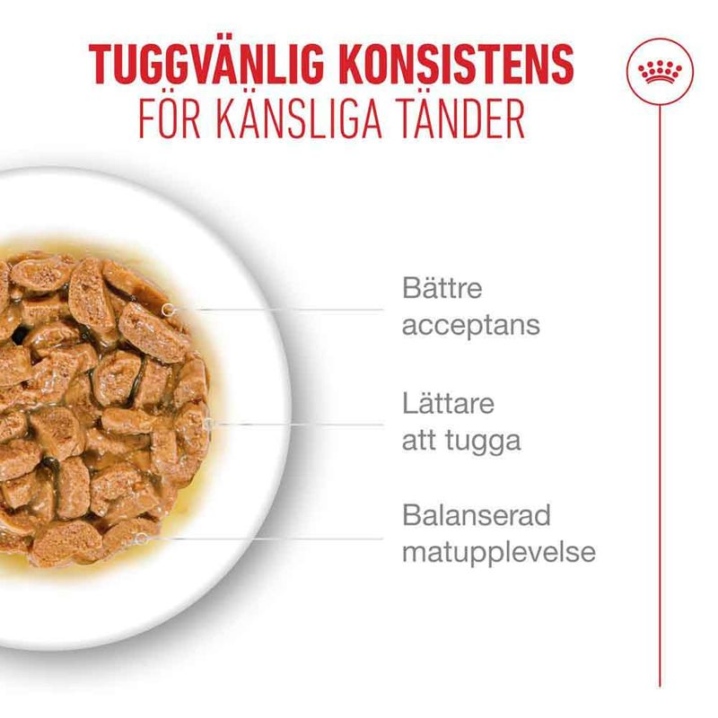 Royal Canin Ageing 11+ i sås