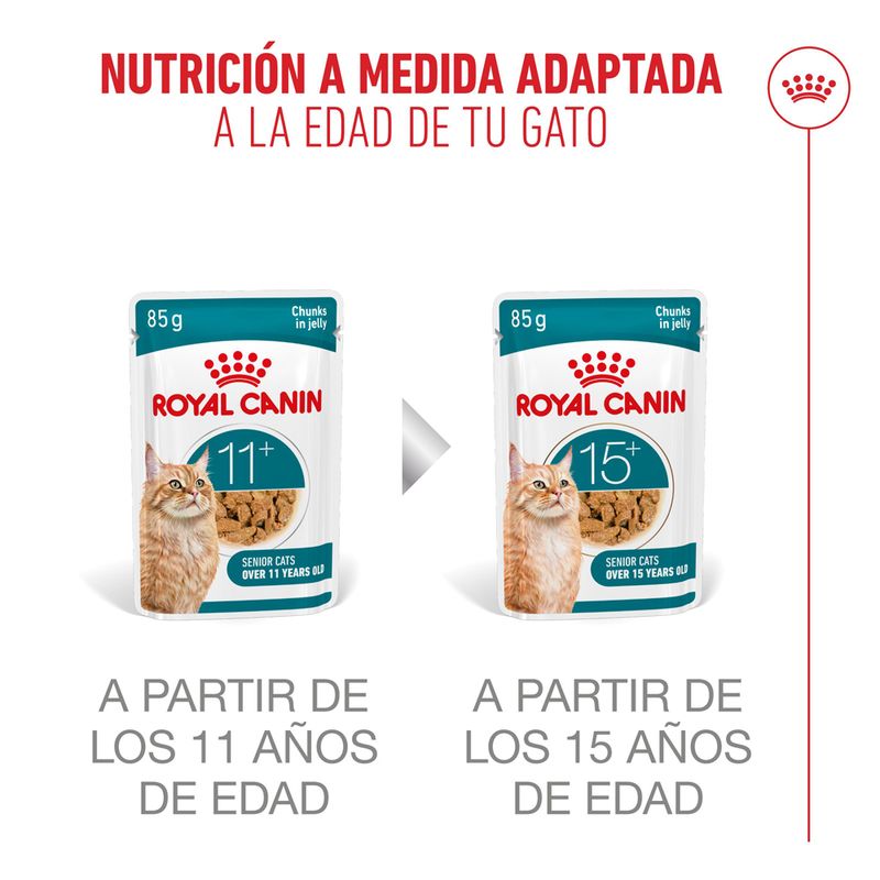 Royal Canin Ageing 11+ en salsa