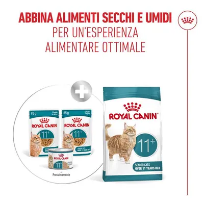 Royal Canin Ageing 11+ in Gelatina