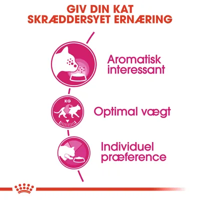 Giv din kat skræddersyet ernæring. Aromatisk interessant, optimal vægt, individuel præference. Illustrationer af katte og foderskåle.