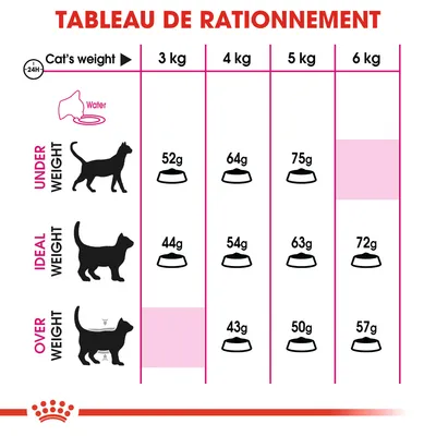 Tableau de rationnement pour chats : poids 3–6 kg, sous-poids 52–75 g, poids idéal 44–72 g, surpoids 43–57 g. Eau indiquée. Texte en anglais pour les catégories de poids.