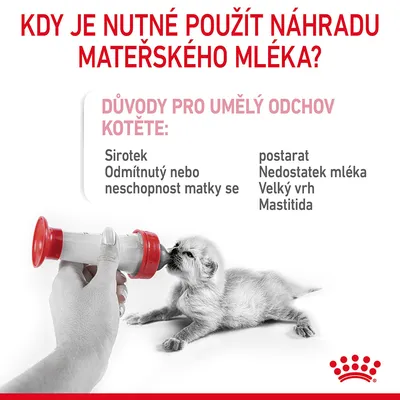 Kdy je nutné použít náhradu mateřského mléka? Důvody pro umělý odchov kotěte: Sirotek, odmítnutý nebo neschopnost matky se postarat, nedostatek mléka, velký vrh, mastitida. Kotě krmené lahví.