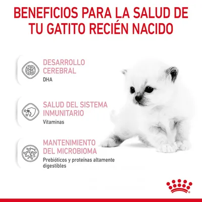 Beneficios para la salud de tu gatito recién nacido: desarrollo cerebral (DHA), salud del sistema inmunitario (vitaminas), mantenimiento del microbioma (prebióticos y proteínas altamente digestibles).