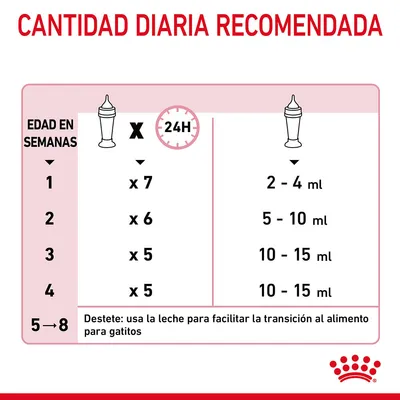 Tabla de cantidad diaria recomendada para gatitos: edad en semanas 1 a 4, tomas diarias y mililitros por toma; destete entre semanas 5–8 usando leche para facilitar transición al alimento.