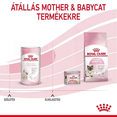 Átállás Mother & Babycat termékekre: Royal Canin Babycat Milk, Mother & Babycat nedves és száraz eledel. Születés, elválasztás szakaszok feltüntetve.