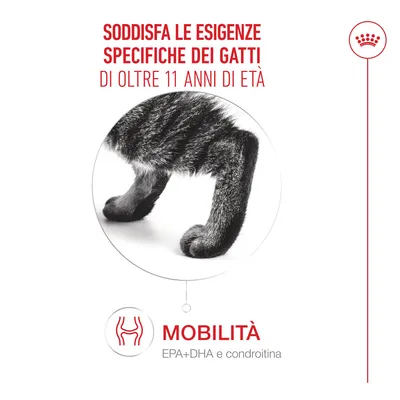 Royal Canin Ageing 11+ Mousse