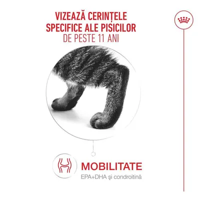 Royal Canin Ageing 11+ Mousse