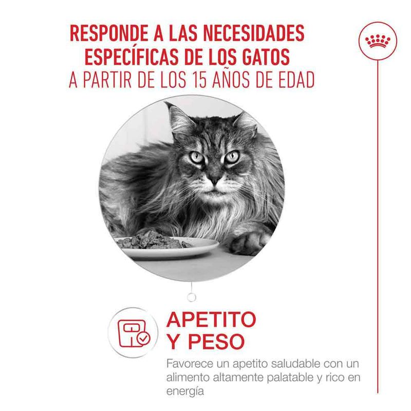 Royal Canin Ageing 15+ en salsa
