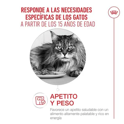 Royal Canin Ageing 15+ en salsa