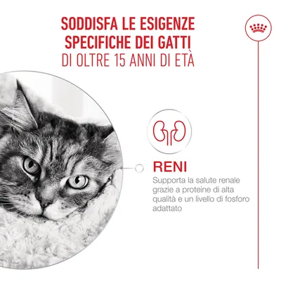 Royal Canin Ageing 15+ Mousse Royal Canin Ageing 15+ Mousse