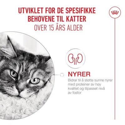 Royal Canin Ageing 15+ Mousse