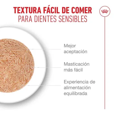 Royal Canin Ageing 15+ Mousse