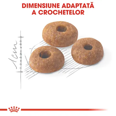 Dimensiune adaptată a crochetelor, trei crochete rotunde cu diametru de aproximativ 1 cm, text vizibil: 'DIMENSIUNE ADAPTATĂ A CROCHETELOR'.