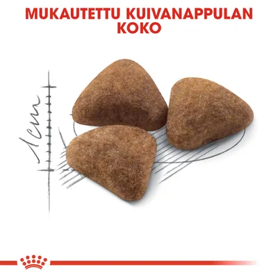 Mukautettu kuivanappulan koko. Kuvassa kolme kolmiomaista nappulaa viivaston päällä, jossa mitta 1 cm.