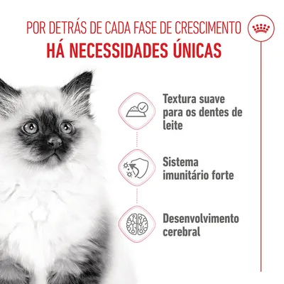 Royal Canin Kitten em molho