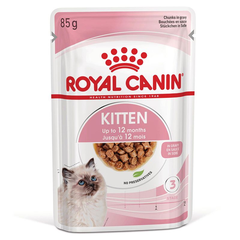 Royal Canin Kitten em molho