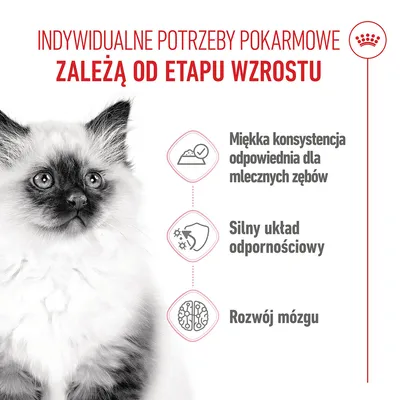 Royal Canin Kitten Mousse