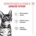 Royal Canin Kitten Sterilised