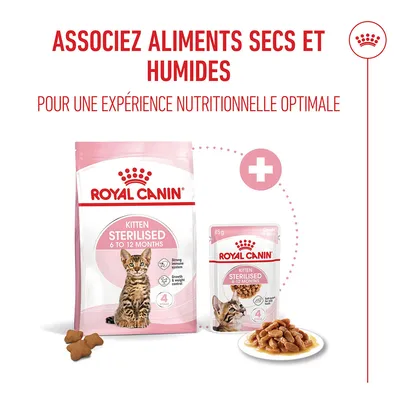 Royal Canin Kitten Stérilisé 6 à 12 mois aliments secs et humides, recommandation : combinaison pour une expérience nutritionnelle optimale. Royal Canin Kitten Stérilisé 6 à 12 mois aliments secs et humides, recommandation : combinaison pour une expérience nutritionnelle optimale.