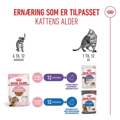 Royal Canin Sterilised Kitten i saus