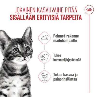Royal Canin Kitten Sterilized in Jelly