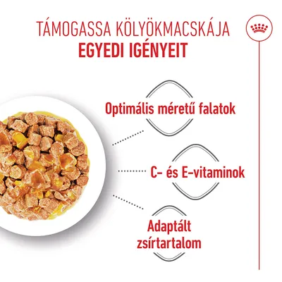 Royal Canin FHN Sterilized Kitten aszpikban