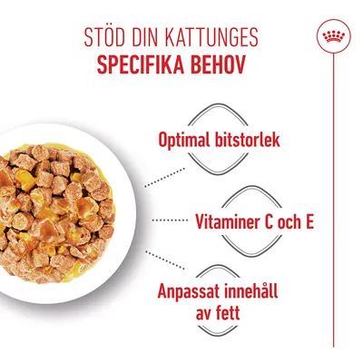 Royal Canin FHN Sterilised Kitten i gelé