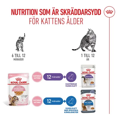 Royal Canin FHN Sterilised Kitten i gelé