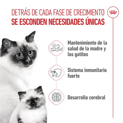 Royal Canin Mother & Babycat Royal Canin Mother & Babycat