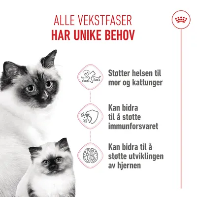 Royal Canin Mother & Babycat
