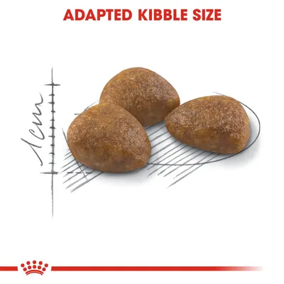Three pieces of kibble shown with a 1cm scale and the text 'Adapted Kibble Size', illustrating the size of the food pieces.