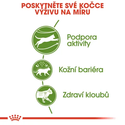 Poskytněte své kočce výživu na míru: Podpora aktivity, Kožní bariéra, Zdraví kloubů. Tři zelené ikony s kočkou a texty.