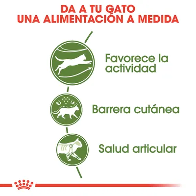 Da a tu gato una alimentación a medida. Favorece la actividad, barrera cutánea, salud articular.