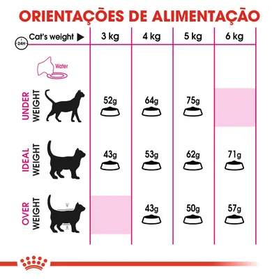 Tabela de orientações de alimentação para gatos: peso 3–6 kg, doses diárias em gramas para baixo peso (52–75 g), peso ideal (43–71 g) e excesso de peso (43–57 g).