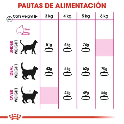 Pautas de alimentación para gatos según peso: 3 kg, 4 kg, 5 kg, 6 kg. Cantidades diarias en gramos para bajo peso, peso ideal y sobrepeso. Incluye iconos de gato y cuencos.