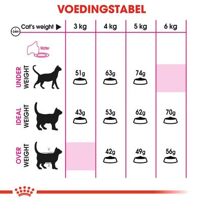 Voedingstabel voor katten: per gewicht (3–6 kg) en lichaamsconditie (ondergewicht, ideaal, overgewicht) aanbevolen dagelijkse hoeveelheid in grammen, variërend van 42 g tot 74 g.
