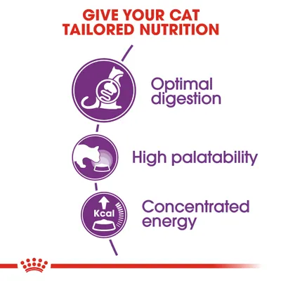 Teksti englanniksi: GIVE YOUR CAT TAILORED NUTRITION. Optimal digestion, High palatability, Concentrated energy. Kuvakkeet kissasta ja ruokakupista, Kcal nuoli ylös.