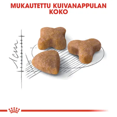 Mukautettu kuivanappulan koko. Kuvassa kolme erimuotoista nappulaa ja mitta-asteikko, jossa korkeus noin 1 cm.