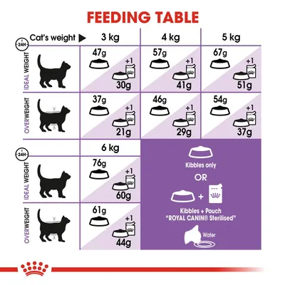 Feeding table for cats by weight: 3–6 kg, ideal and overweight. Shows daily grams of kibbles or kibbles plus one pouch Royal Canin Sterilised. Includes water symbol. All text in English.