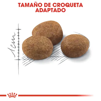 Tres croquetas de pienso junto a escala que indica 1 cm, con texto 'Tamaño de croqueta adaptado' en la parte superior.