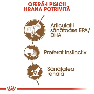 OFERĂ-I PISICII HRANA POTRIVITĂ. Articulații sănătoase EPA/DHA, Preferat instinctiv, Sănătatea renală.