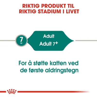 Royal Canin Instinctive +7 i saus