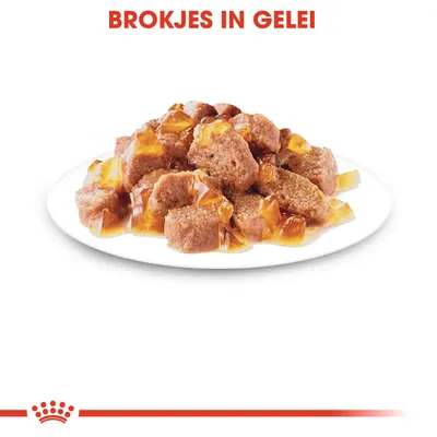 Brokjes in gelei op een wit bord, tekst bovenaan: 'BROKJES IN GELEI'.